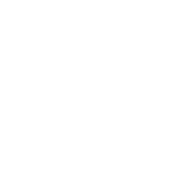 5 Stars Around the Sun Logo